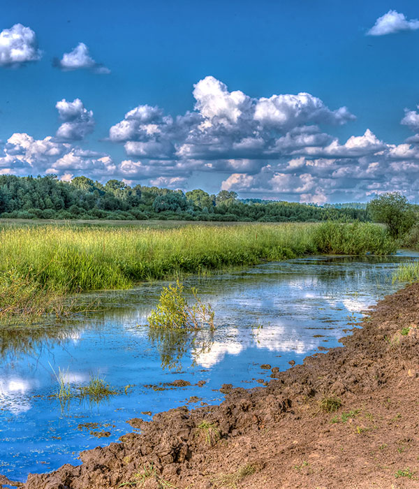 Que sont les lacs de l'eau d'heure