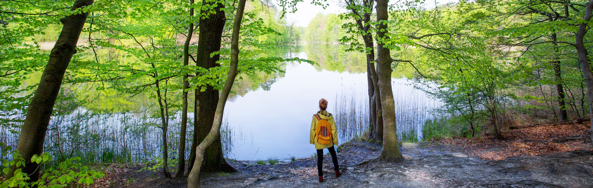 Het Domein van het Pays des Lacs - Lacs De L'Eau D'Heure