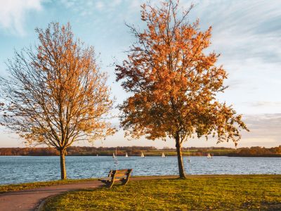 Autumn Deal