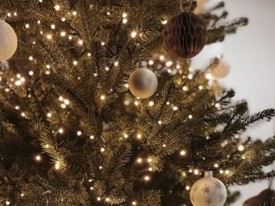 Réveillon de Noël 2025 - Formule Noël Féérique